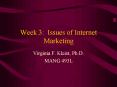 Week 3: Issues of Internet Marketing PowerPoint PPT Presentation