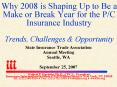 Why 2008 is Shaping Up to Be a Make or Break Year for the PC Insurance Industry Trends, Challenges