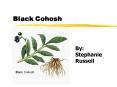Black Cohosh PowerPoint PPT Presentation