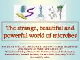 The strange, beautiful and powerful world of microbes PowerPoint PPT Presentation