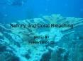 Salinity and Coral Bleaching PowerPoint PPT Presentation