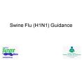 Swine Flu H1N1 Guidance PowerPoint PPT Presentation