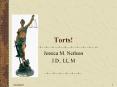 Torts! PowerPoint PPT Presentation