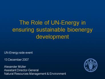 The Role of UNEnergy in ensuring sustainable bioenergy development