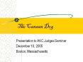 The Canaan Dog PowerPoint PPT Presentation