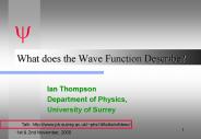 What does the Wave Function Describe
