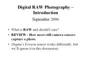 Digital RAW Photography 