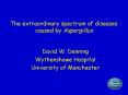 The extraordinary spectrum of diseases caused by Aspergillus PowerPoint PPT Presentation
