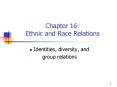Chapter 16: Ethnic and Race Relations PowerPoint PPT Presentation