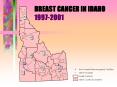 BREAST CANCER IN IDAHO 19972001 PowerPoint PPT Presentation