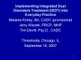 Implementing Integrated Dual Disorders Treatment IDDT into Everyday Practice PowerPoint PPT Presentation