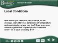 Local Conditions PowerPoint PPT Presentation