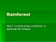 Rainforest PowerPoint PPT Presentation