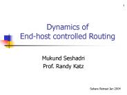 Dynamics of End-host controlled Routing