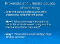 Proximate and ultimate causes of bird song PowerPoint PPT Presentation