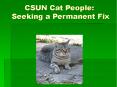 CSUN Cat People: Seeking a Permanent Fix PowerPoint PPT Presentation