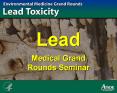 State the CDC's level of concern for lead in children' PowerPoint PPT Presentation