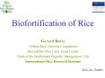Biofortification of Rice PowerPoint PPT Presentation