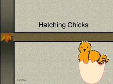 Hatching Chicks