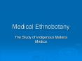 Medical Ethnobotany PowerPoint PPT Presentation