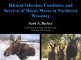 Habitat Selection, Condition, and Survival of Shiras Moose in Northwest Wyoming PowerPoint PPT Presentation