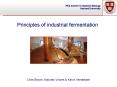 Principles of industrial fermentation PowerPoint PPT Presentation