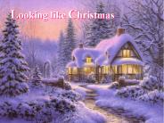 Looking like Christmas