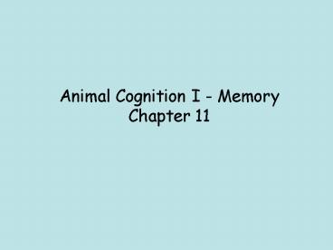 Animal Cognition I Memory Chapter 11