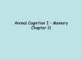 Animal Cognition I Memory Chapter 11 PowerPoint PPT Presentation