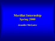 Merillat Internship Spring 2000