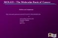 MOL523 The Molecular Basis of Cancer PowerPoint PPT Presentation