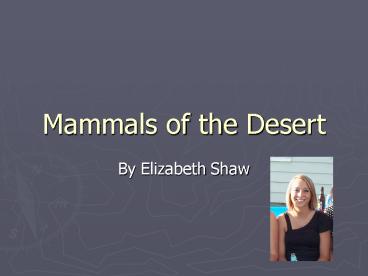 Mammals of the Desert