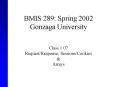 BMIS 289: Spring 2002 Gonzaga University PowerPoint PPT Presentation