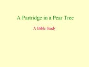A Partridge in a Pear Tree