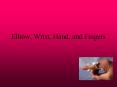 Elbow, Wrist, Hand, and Fingers PowerPoint PPT Presentation