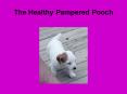 The Healthy Pampered Pooch PowerPoint PPT Presentation