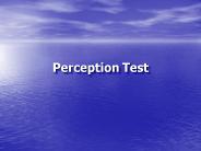 Perception Test