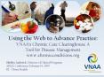 Using the Web to Advance Practice: VNAAs Chronic Care Clearinghouse A Tool for Disease Management ww PowerPoint PPT Presentation