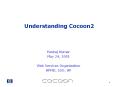 Understanding Cocoon2 PowerPoint PPT Presentation