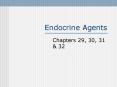 Endocrine Agents PowerPoint PPT Presentation