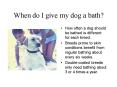 When do I give my dog a bath PowerPoint PPT Presentation