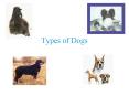 Types of Dogs PowerPoint PPT Presentation