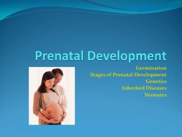 Prenatal Development