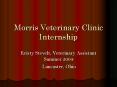 Morris Veterinary Clinic Internship PowerPoint PPT Presentation