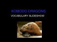 KOMODO DRAGONS. VOCABULARY SLIDESHOW. ARMOR. FIERCE. HARSHE PowerPoint PPT Presentation