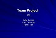 Team Project
