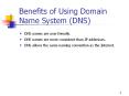 Benefits of Using Domain Name System (DNS) PowerPoint PPT Presentation