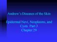 Andrews Diseases of the Skin Epidermal Nevi, Neoplasms, and Cysts Part 3 Chapter 29 PowerPoint PPT Presentation