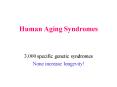 Human Aging Syndromes PowerPoint PPT Presentation