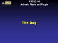 ARCH2108 Animals, Plants and People PowerPoint PPT Presentation